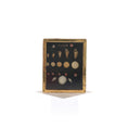 Load image into Gallery viewer, Miniature Mounted Micro Seashell Specimen Shadowbox #1
