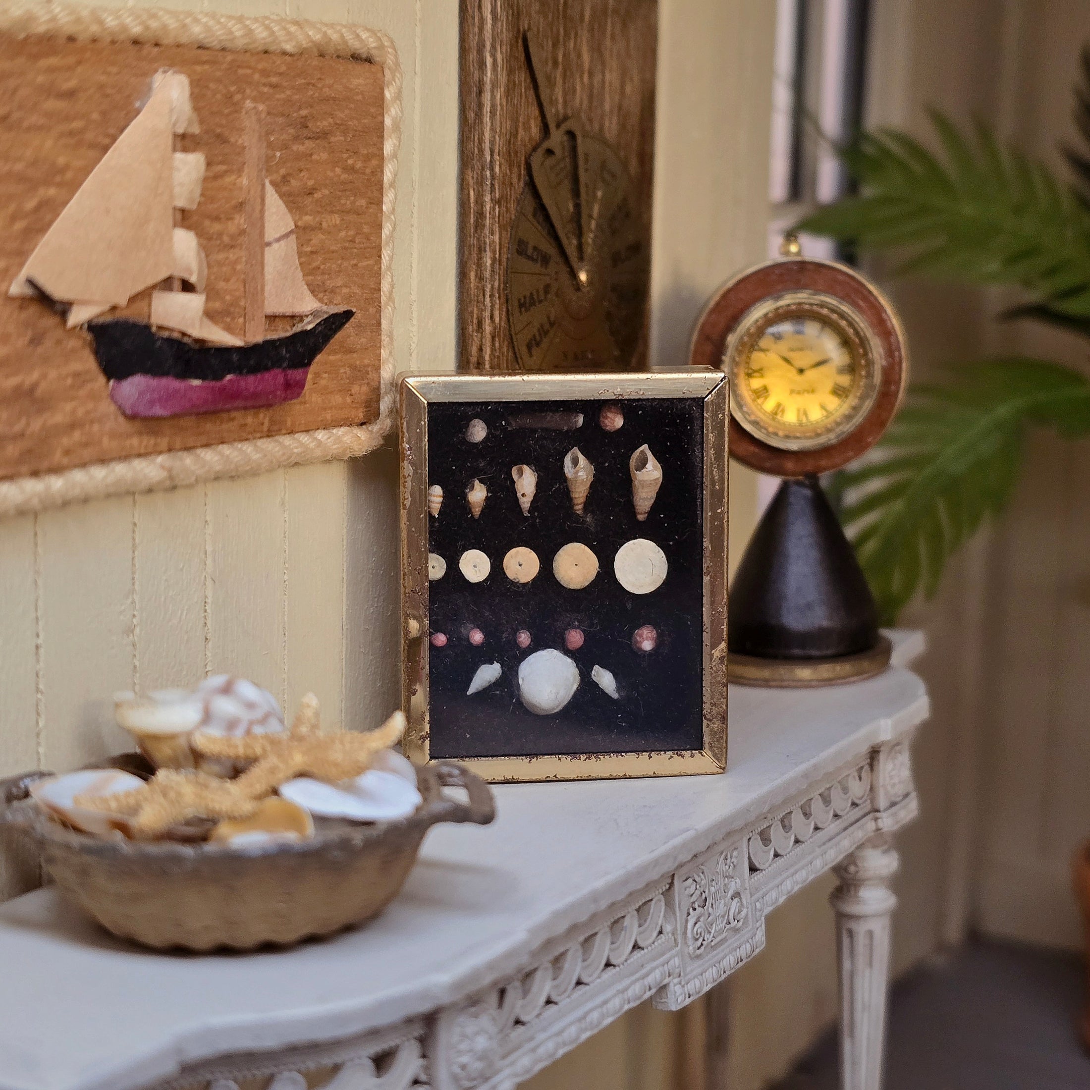 Miniature Mounted Micro Seashell Specimen Shadowbox #1