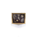 Load image into Gallery viewer, Miniature Mounted Micro Seashell Specimen Shadowbox #2
