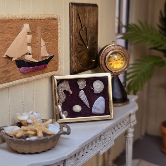 Miniature Mounted Micro Seashell Specimen Shadowbox #2