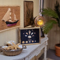 Load image into Gallery viewer, Miniature Mounted Micro Seashell Specimen Shadowbox #3

