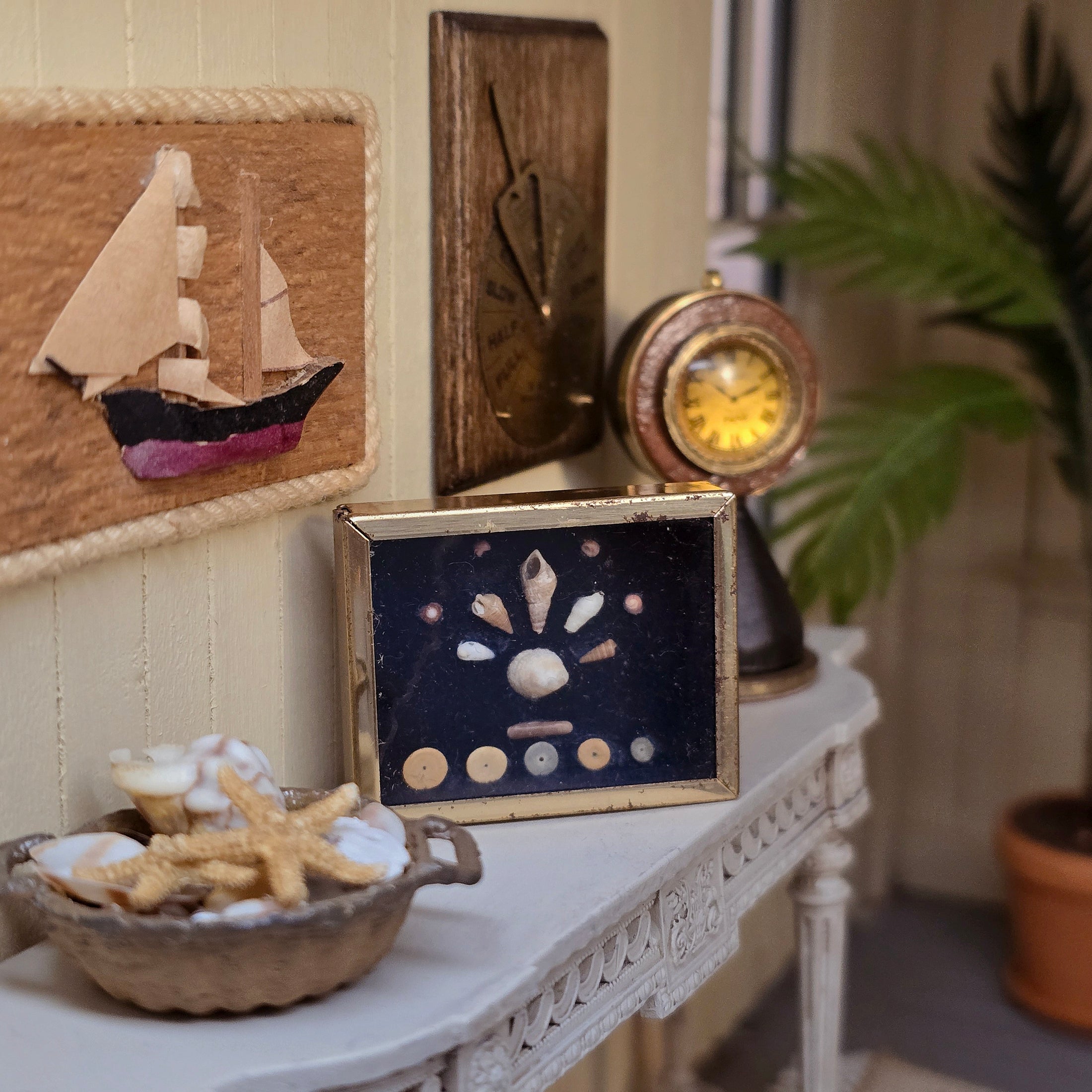 Miniature Mounted Micro Seashell Specimen Shadowbox #3