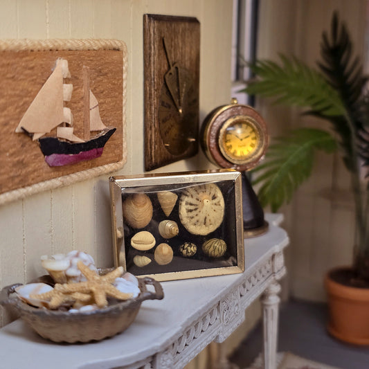 Miniature Mounted Micro Seashell Specimen Shadowbox #4