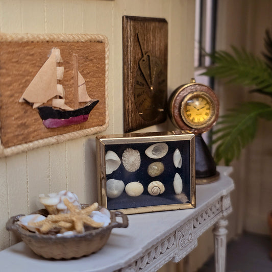 Miniature Mounted Micro Seashell Specimen Shadowbox #5