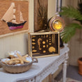 Load image into Gallery viewer, Miniature Mounted Micro Seashell Specimen Shadowbox #6
