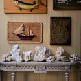 Load image into Gallery viewer, Miniature Curated Coral & Seashell Specimen Collection Set
