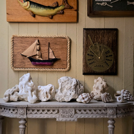 Miniature Curated Coral & Seashell Specimen Collection Set