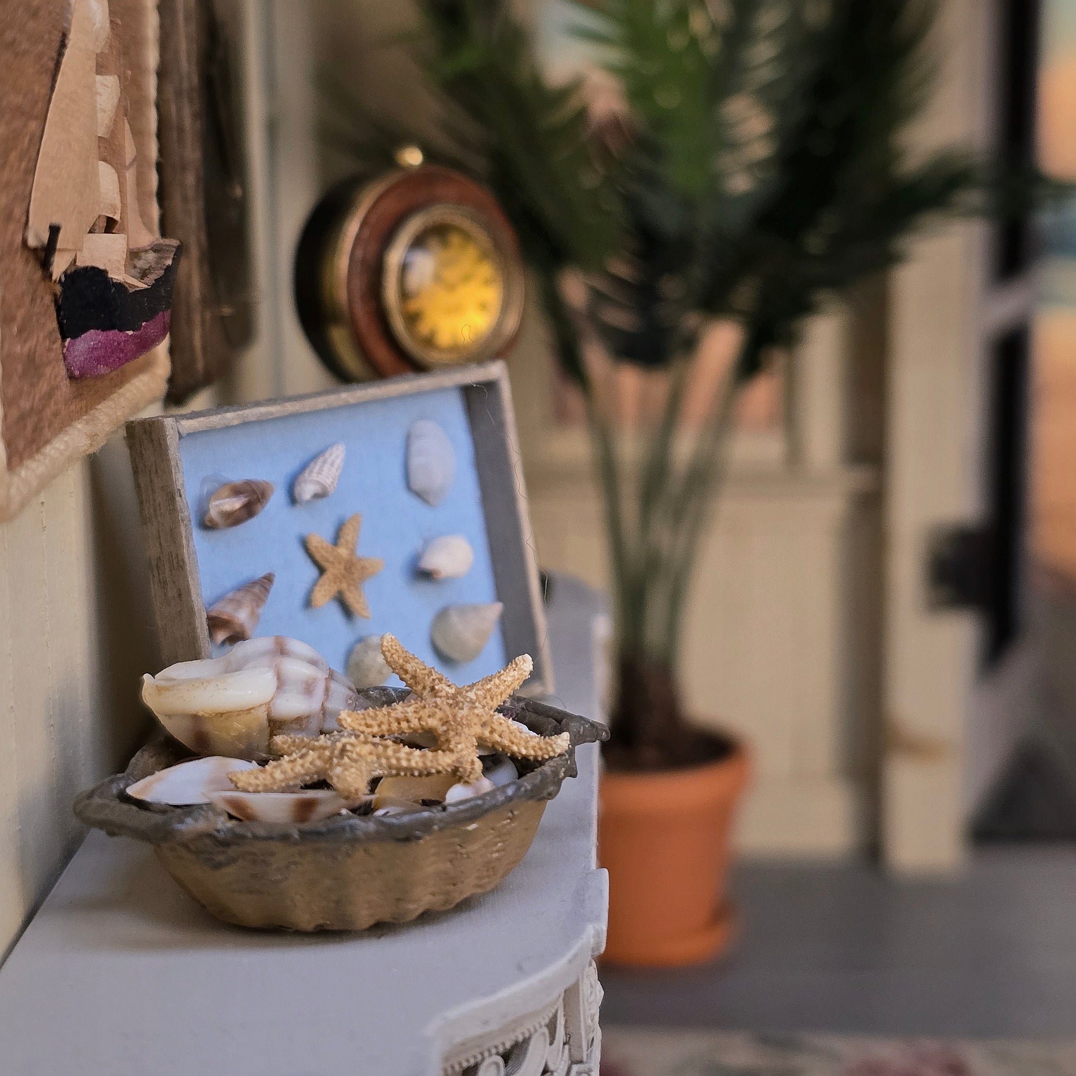 Miniature Coastal Seashell Shadowbox & Basket Display Set