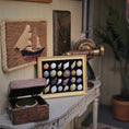 Load image into Gallery viewer, Framed Micro Sea Shell Specimen Display Miniature OOAK Nautical Art
