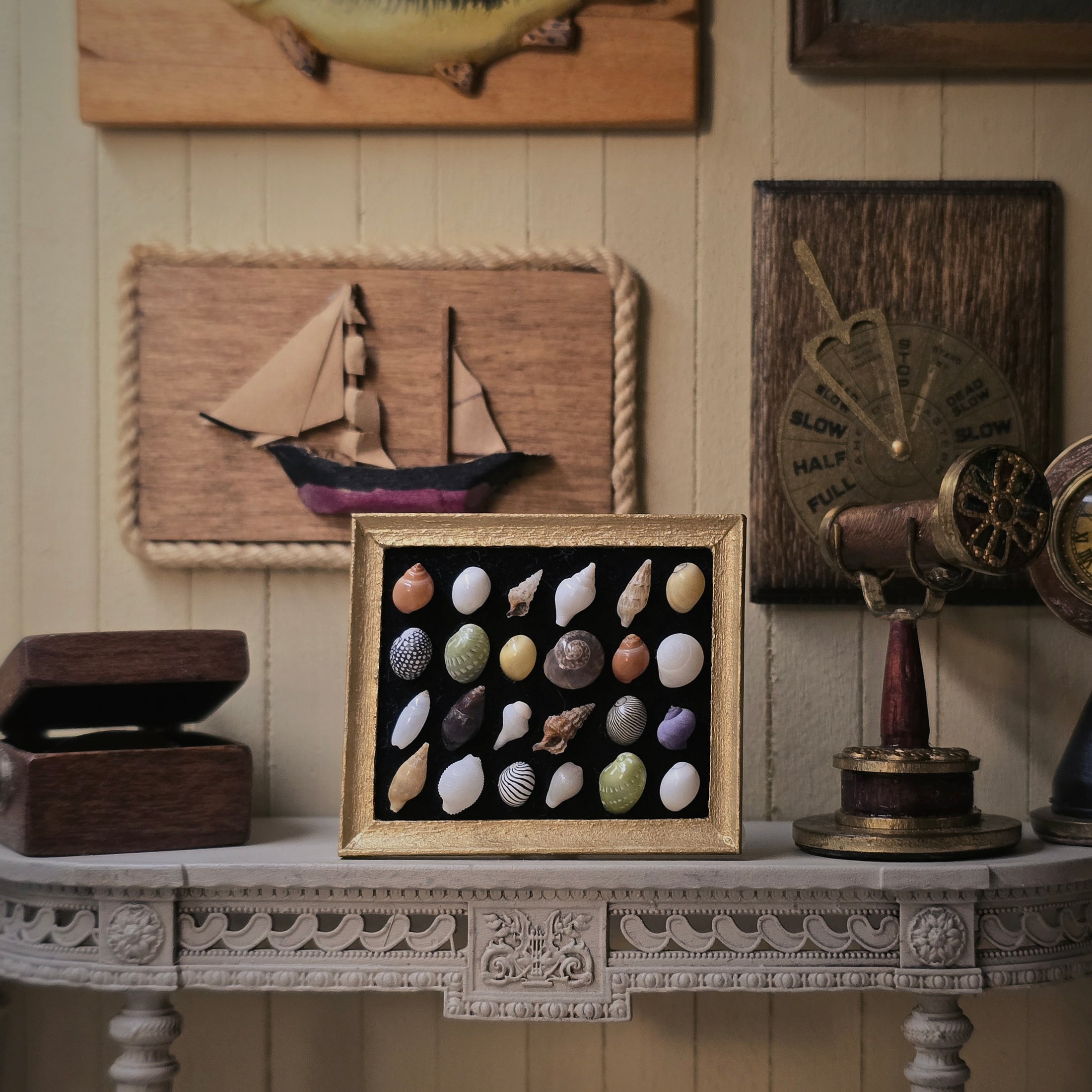 Framed Micro Sea Shell Specimen Display Miniature OOAK Nautical Art