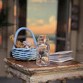 Load image into Gallery viewer, Miniature Shells & Corals Book with Shell Basket and Glass Specimen Jar Set
