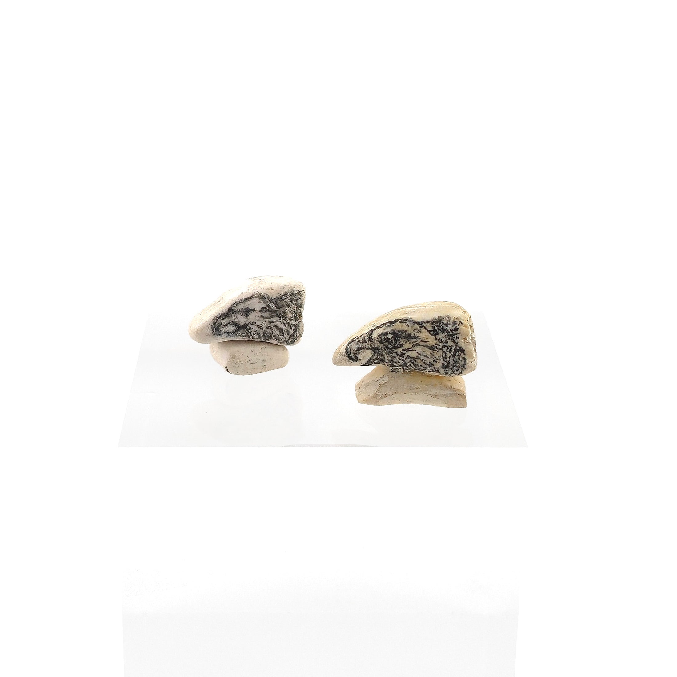 Sharon Stockton Faux Scrimshaw Eagle Tooth Display Pair