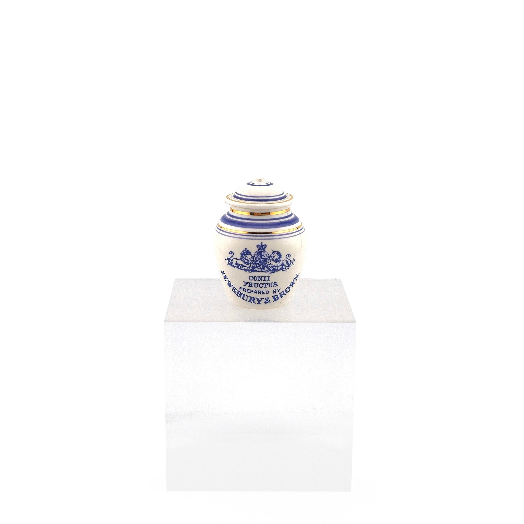 Terry Curran Porcelain Apothecary Jar “CONII FRUCTUS” England Cobalt & Gold