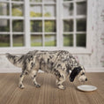 Load image into Gallery viewer, OOAK Elizabeth McInnis English Setter Highly REALISTIC Drinking Dog Sculpture
