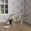 Load image into Gallery viewer, OOAK Elizabeth McInnis English Setter Highly REALISTIC Drinking Dog Sculpture

