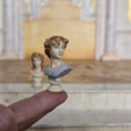 Load image into Gallery viewer, Pair of Neoclassical Laurel-Crowned Portrait Busts Greek Decor
