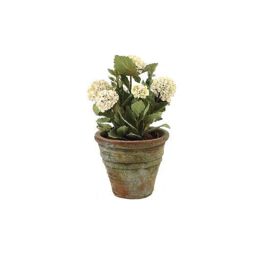 Handmade White Hydrangea in Aged Mossy Clay Pot 1:12
