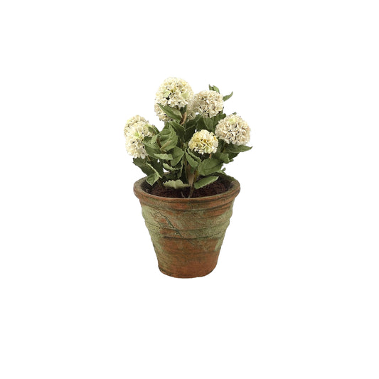 Handmade White Hydrangea in Aged Clay Pot 1:12 Scale