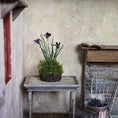Load image into Gallery viewer, Purple Iris and Moss Arrangement in Woven Basket Miniature Dollhouse
