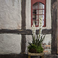Load image into Gallery viewer, Realistic, Tall White Larkspur Garden Plant Clump Miniature Dollhouse
