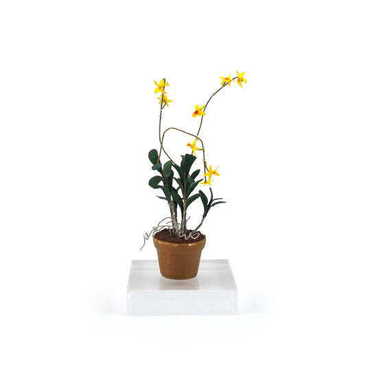 Yellow Oncidium Orchid in Terracotta Pot Miniature Dollhouse