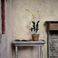 Load image into Gallery viewer, Yellow Oncidium Orchid in Terracotta Pot Miniature Dollhouse
