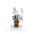 Load image into Gallery viewer, Pink & White Dendrobium Kingianum Orchid in Terracotta Pot Miniature Dollhouse
