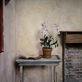Load image into Gallery viewer, Pink & White Dendrobium Kingianum Orchid in Terracotta Pot Miniature Dollhouse
