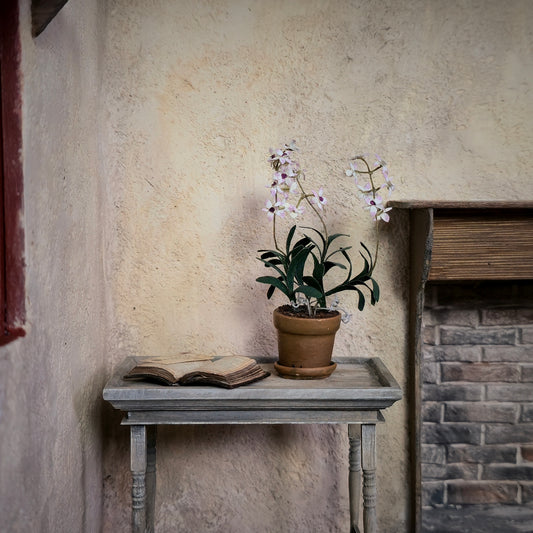 Pink & White Dendrobium Kingianum Orchid in Terracotta Pot Miniature Dollhouse