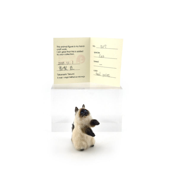 Takanashi Takumi, Japan Seal Point Cat in Begging Pose OOAK Miniature