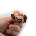 Load image into Gallery viewer, Julie Campbell Clay Elderly Grandmother Lady Dollhouse Doll by Julie Campbell
