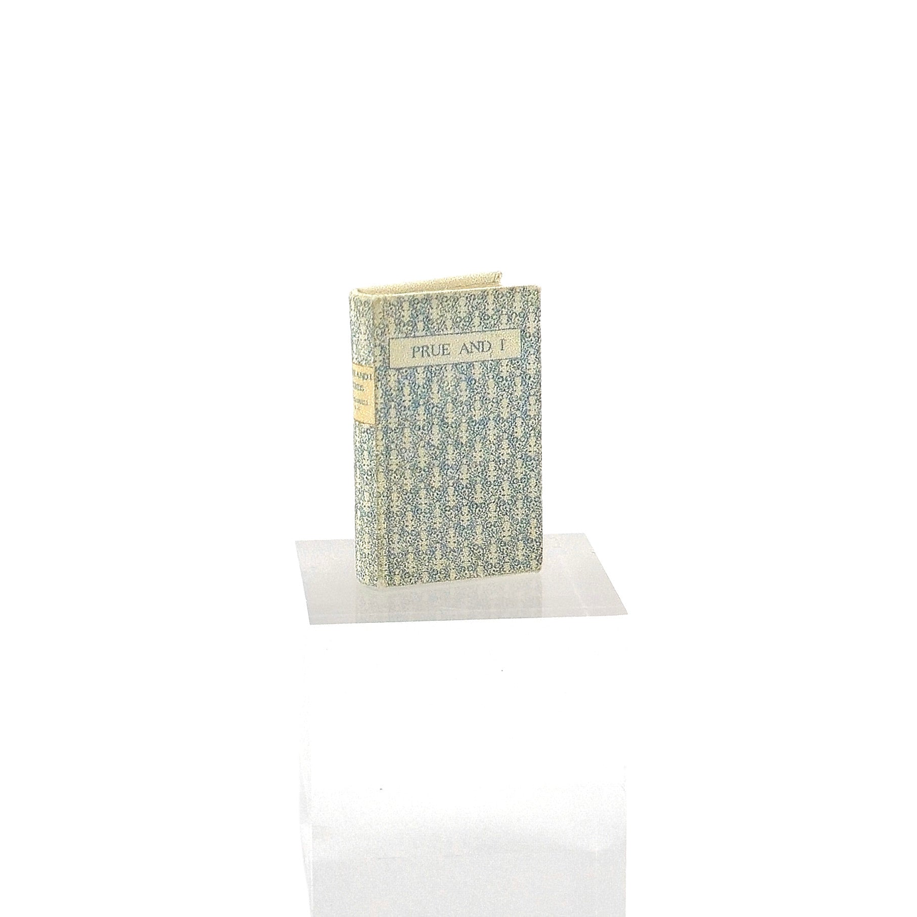 Prue and I Hardcover Victorian Book with Readable Pages Miniature Dollhouse
