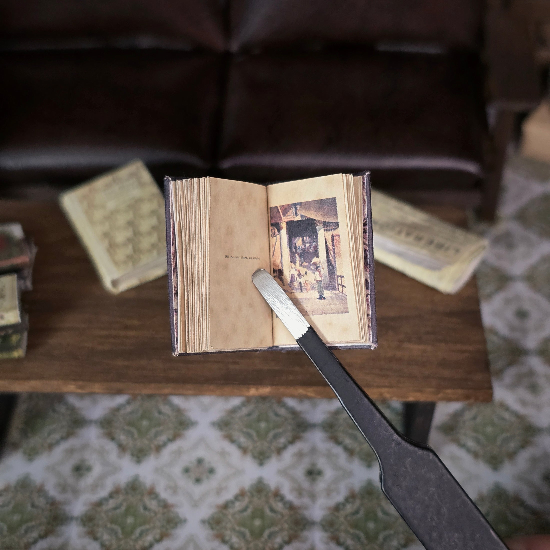 Burma Miniature Readable Book with Color Illustrations for Library