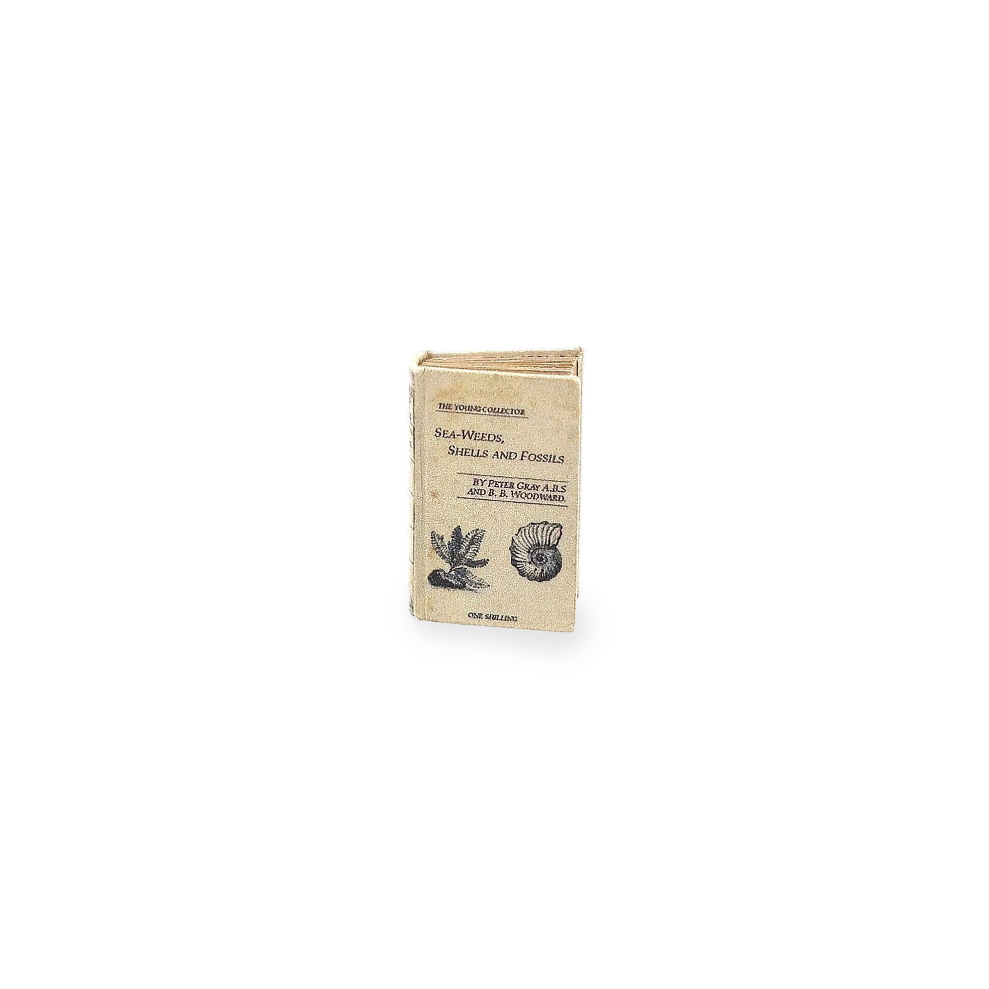 Sea-Weeds, Shells and Fossils Readable Nautical Miniature Book