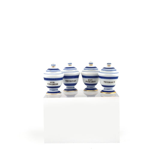 Mini Mundus Blue & White Porcelain Apothecary Jars Set of 4 Style A Group 2