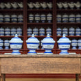 Load image into Gallery viewer, Mini Mundus Blue & White Porcelain Apothecary Jars Set of 4 Style A Group 2
