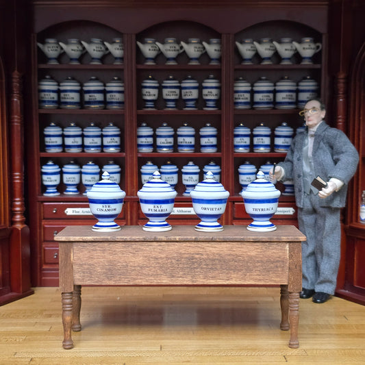 Mini Mundus Blue & White Porcelain Apothecary Jars Set of 4 Style A Group 3