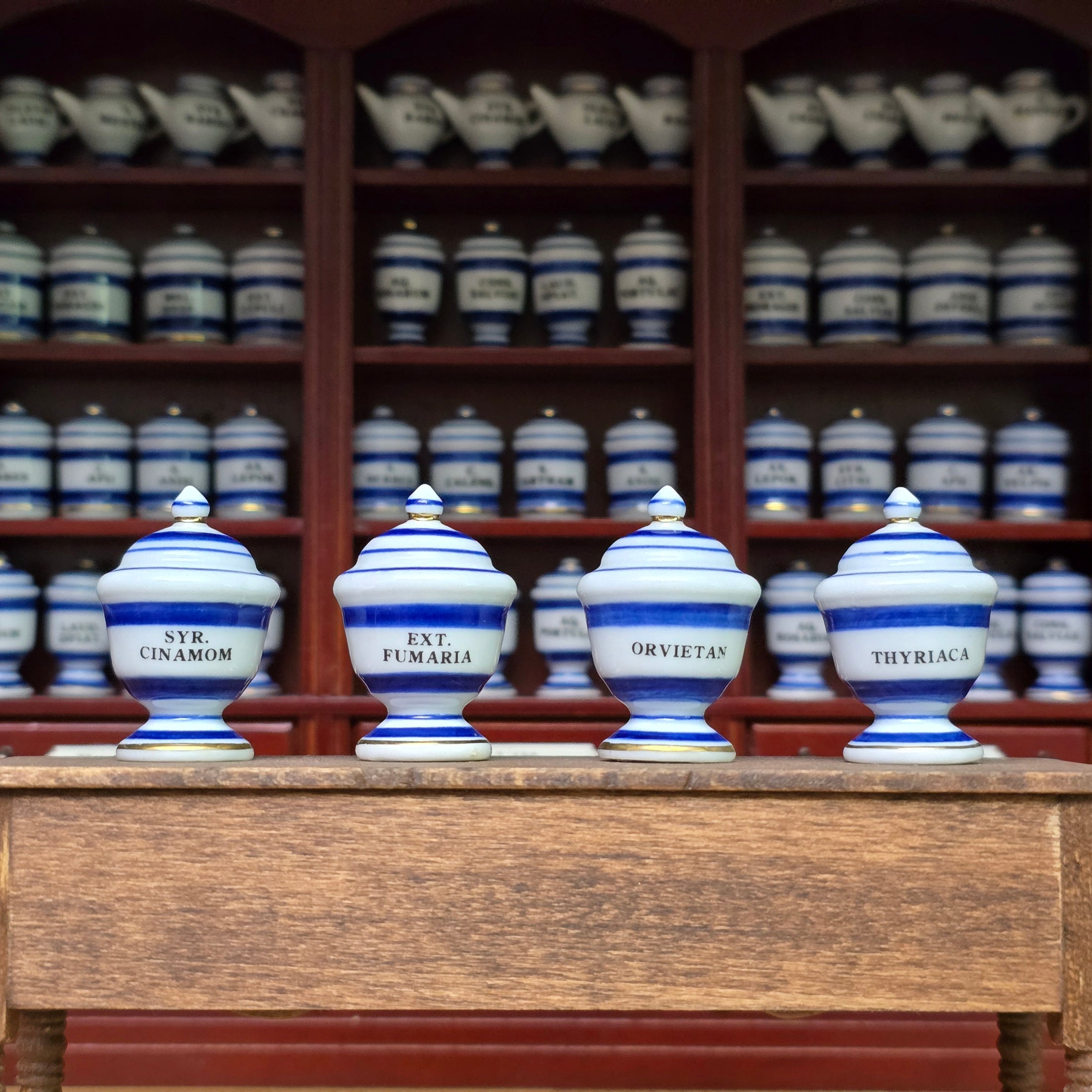 Mini Mundus Blue & White Porcelain Apothecary Jars Set of 4 Style A Group 3