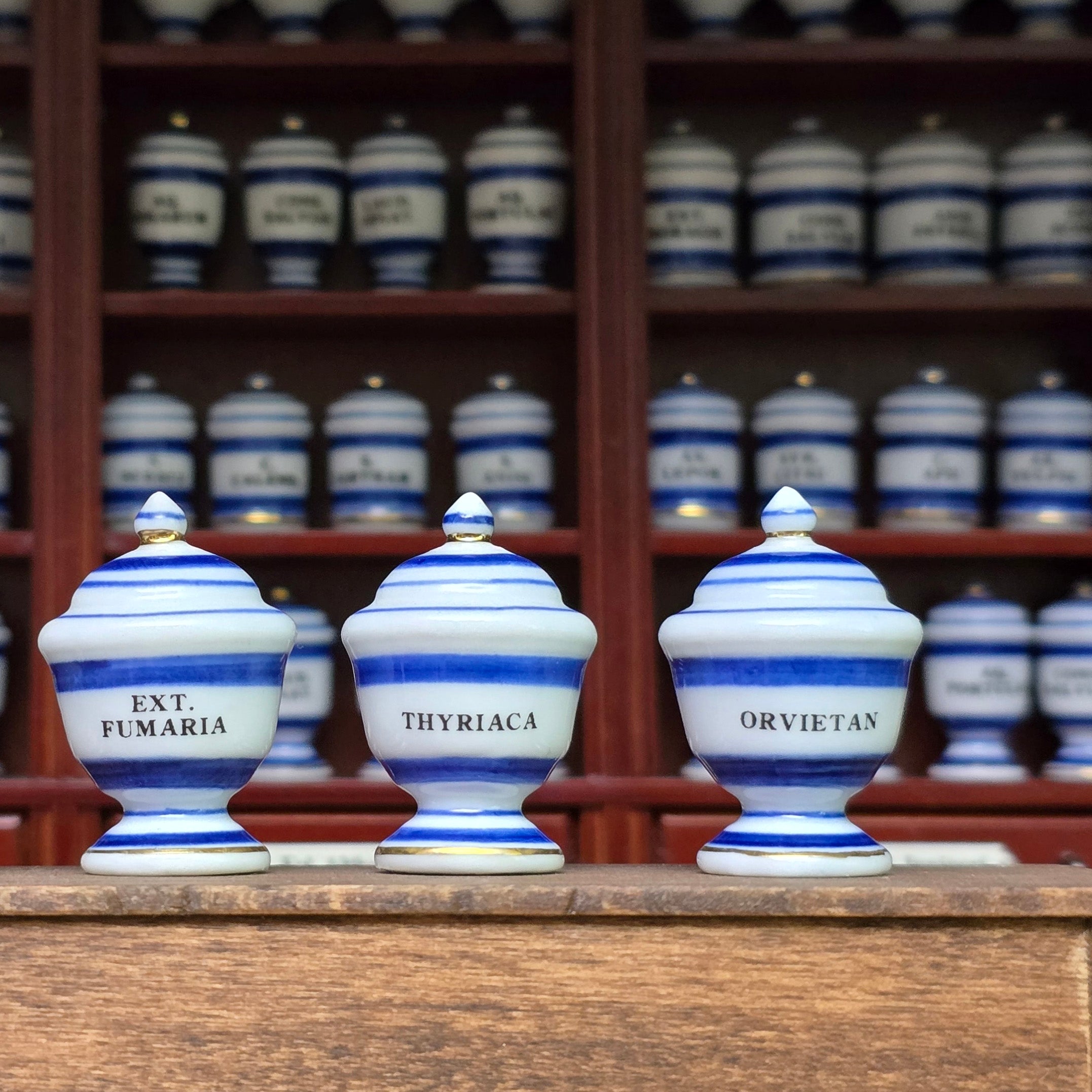 Mini Mundus Blue & White Porcelain Apothecary Jars Set of 3 Style A Group 4