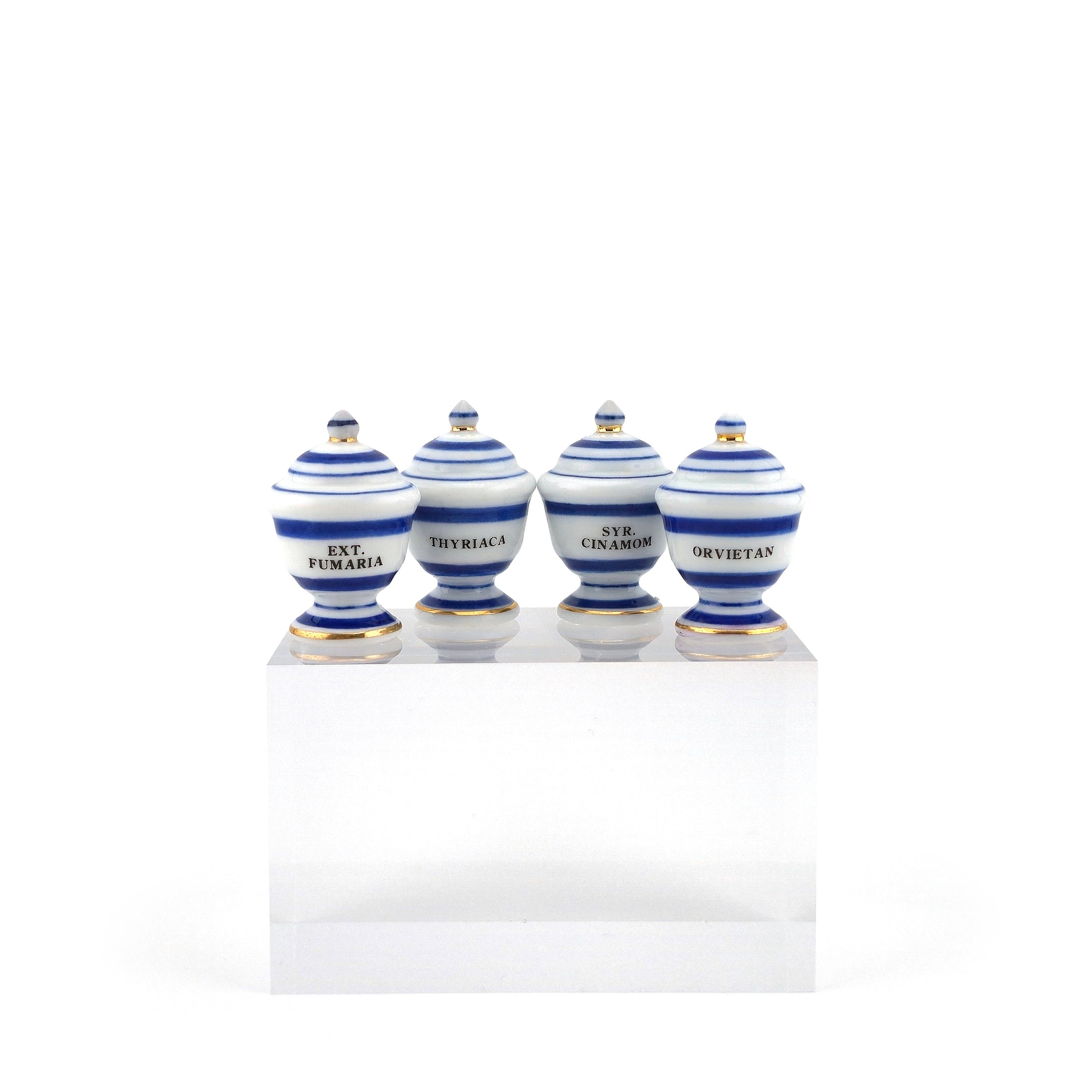 Mini Mundus Blue & White Porcelain Apothecary Jars Set of 4 Style A Group 5