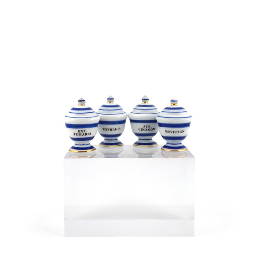 Mini Mundus Blue & White Porcelain Apothecary Jars Set of 4 Style A Group 5