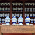 Load image into Gallery viewer, Mini Mundus Blue & White Porcelain Apothecary Jars Set of 4 Style A Group 5
