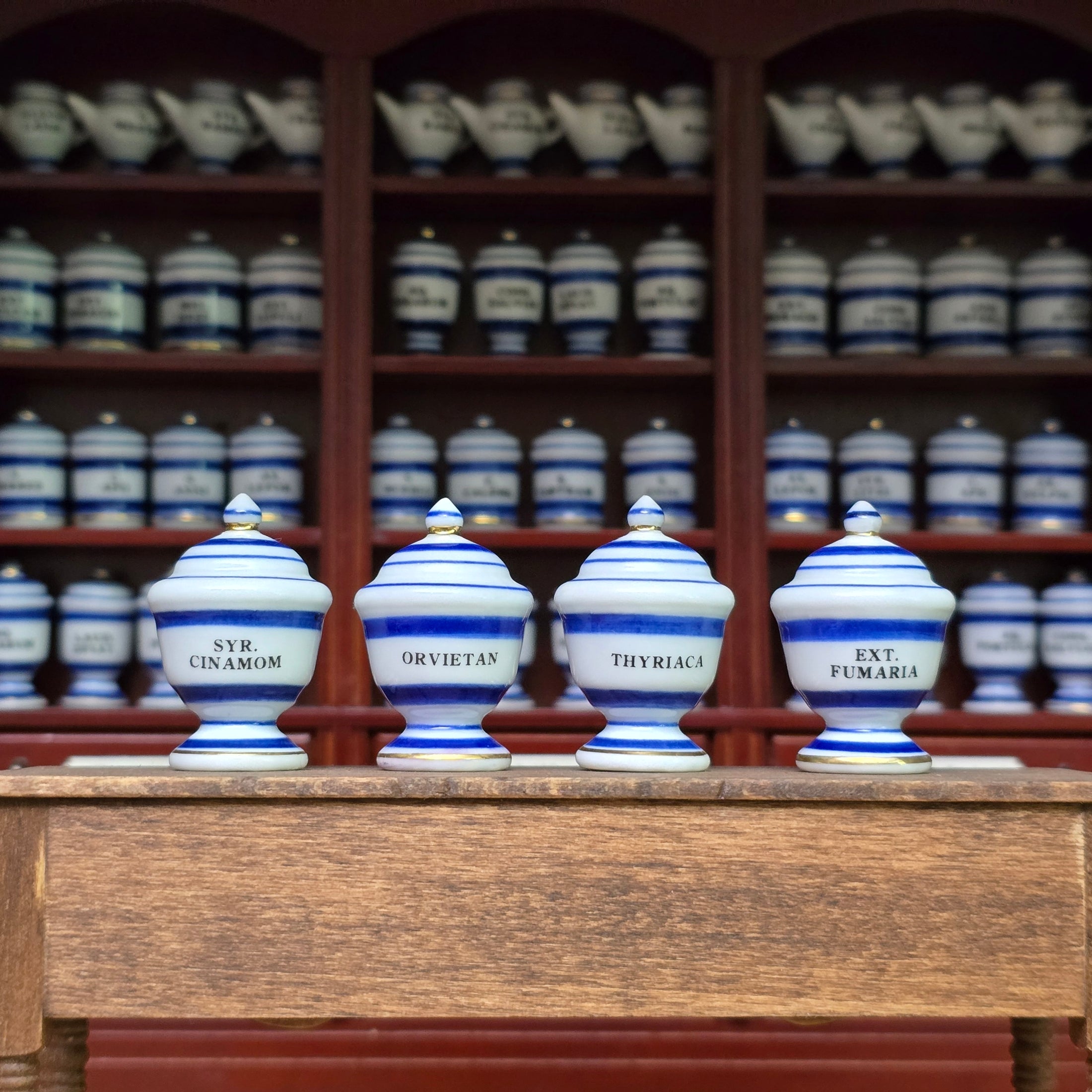 Mini Mundus Blue & White Porcelain Apothecary Jars Set of 4 Style A Group 5