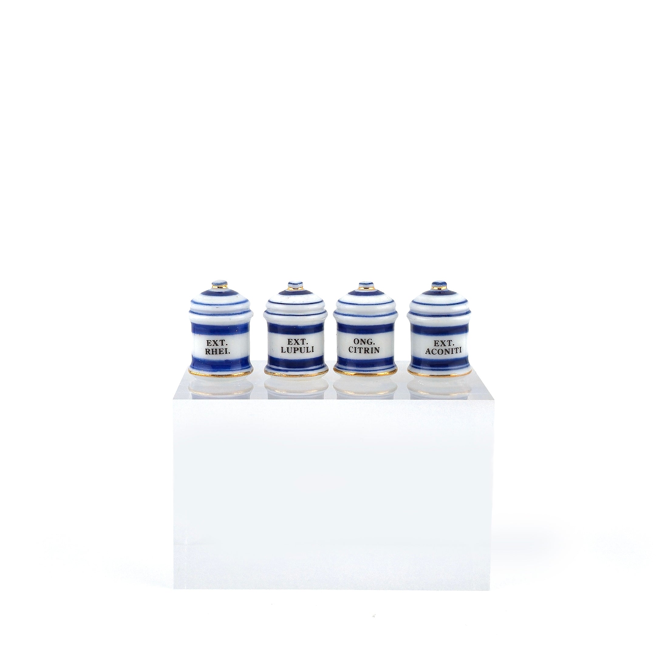 Mini Mundus Blue & White Porcelain Apothecary Jars Set of 4 Style B Group 1