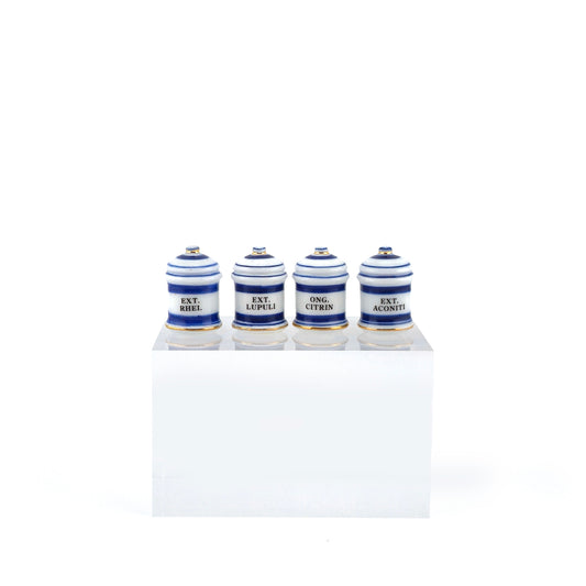 Mini Mundus Blue & White Porcelain Apothecary Jars Set of 4 Style B Group 1
