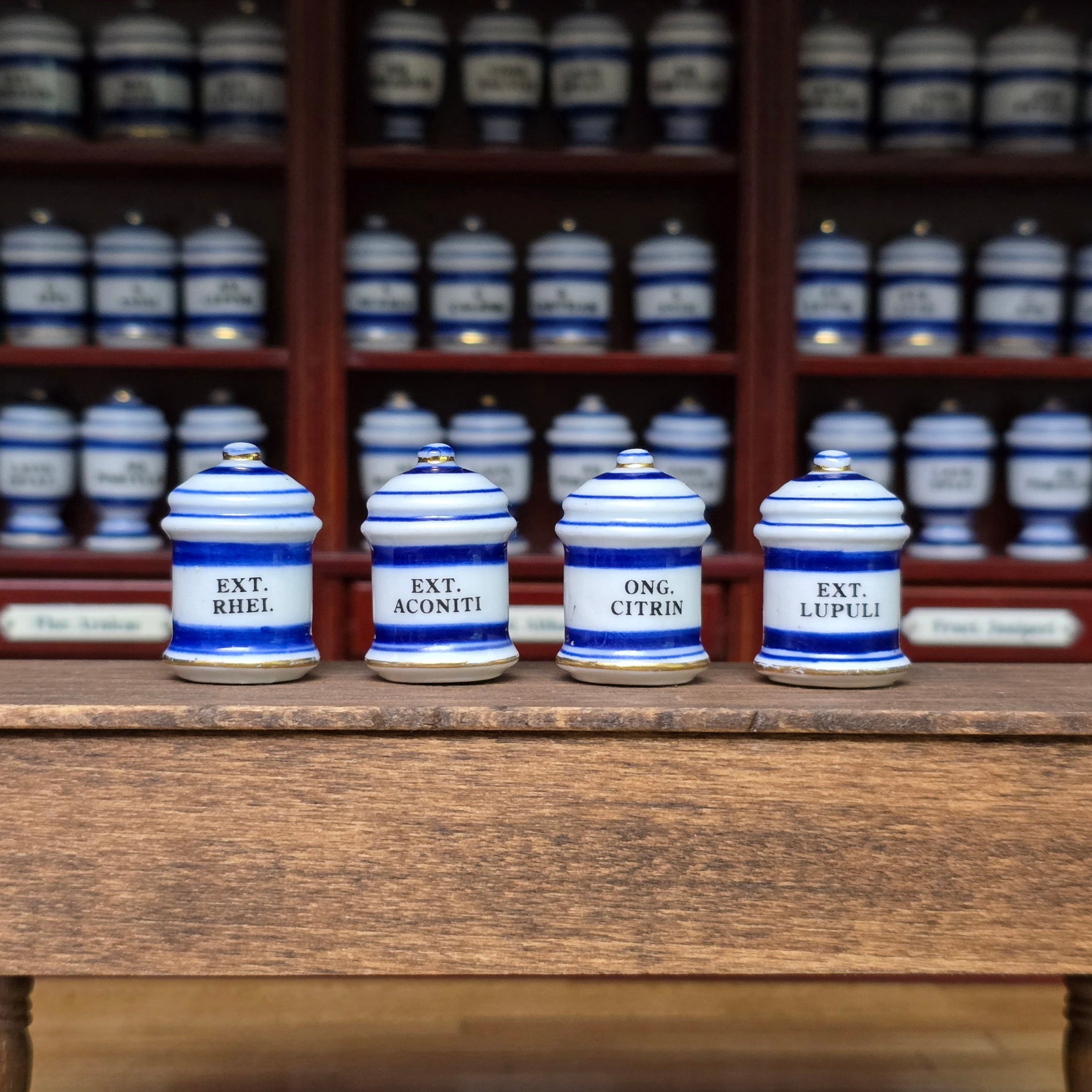 Mini Mundus Blue & White Porcelain Apothecary Jars Set of 4 Style B Group 1