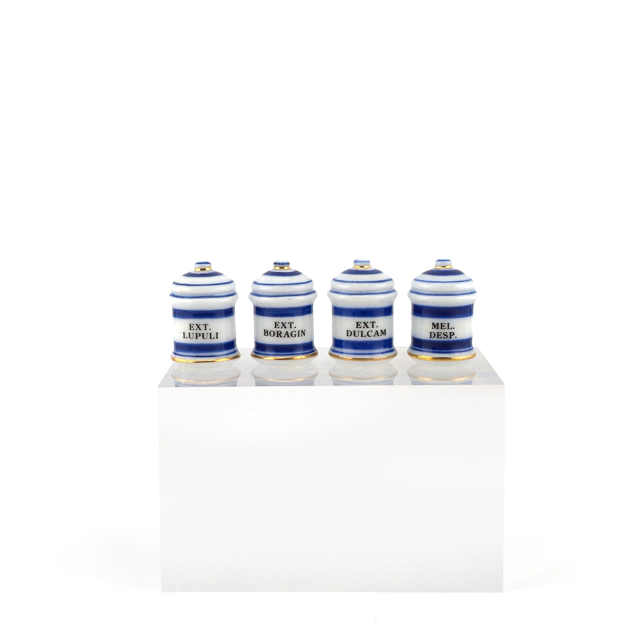 Mini Mundus Blue & White Porcelain Apothecary Jars Set of 4 Style B Group 3