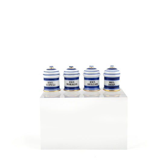 Mini Mundus Blue & White Porcelain Apothecary Jars Set of 4 Style B Group 3