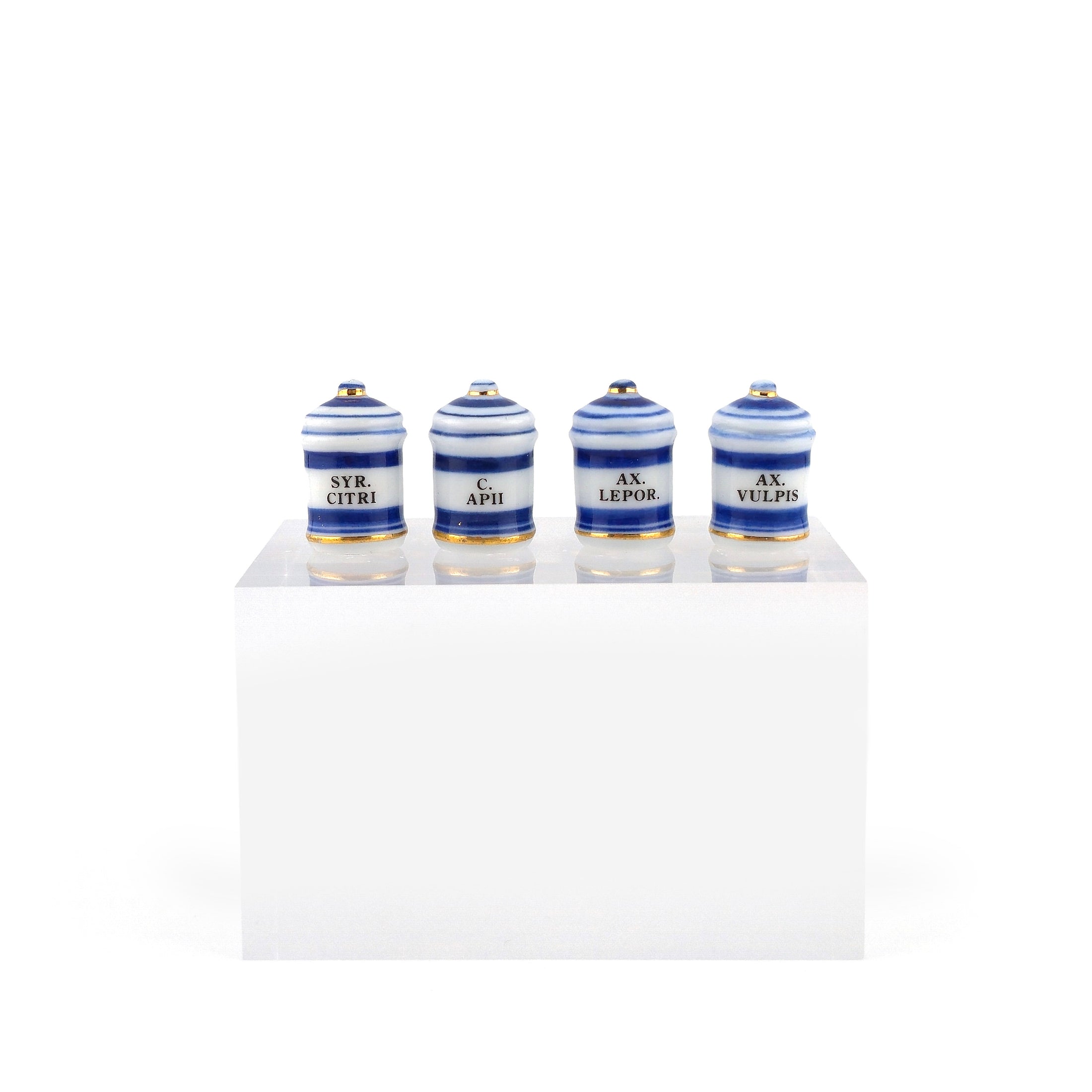 Mini Mundus Blue & White Porcelain Apothecary Jars Set of 4 Style C Group 1