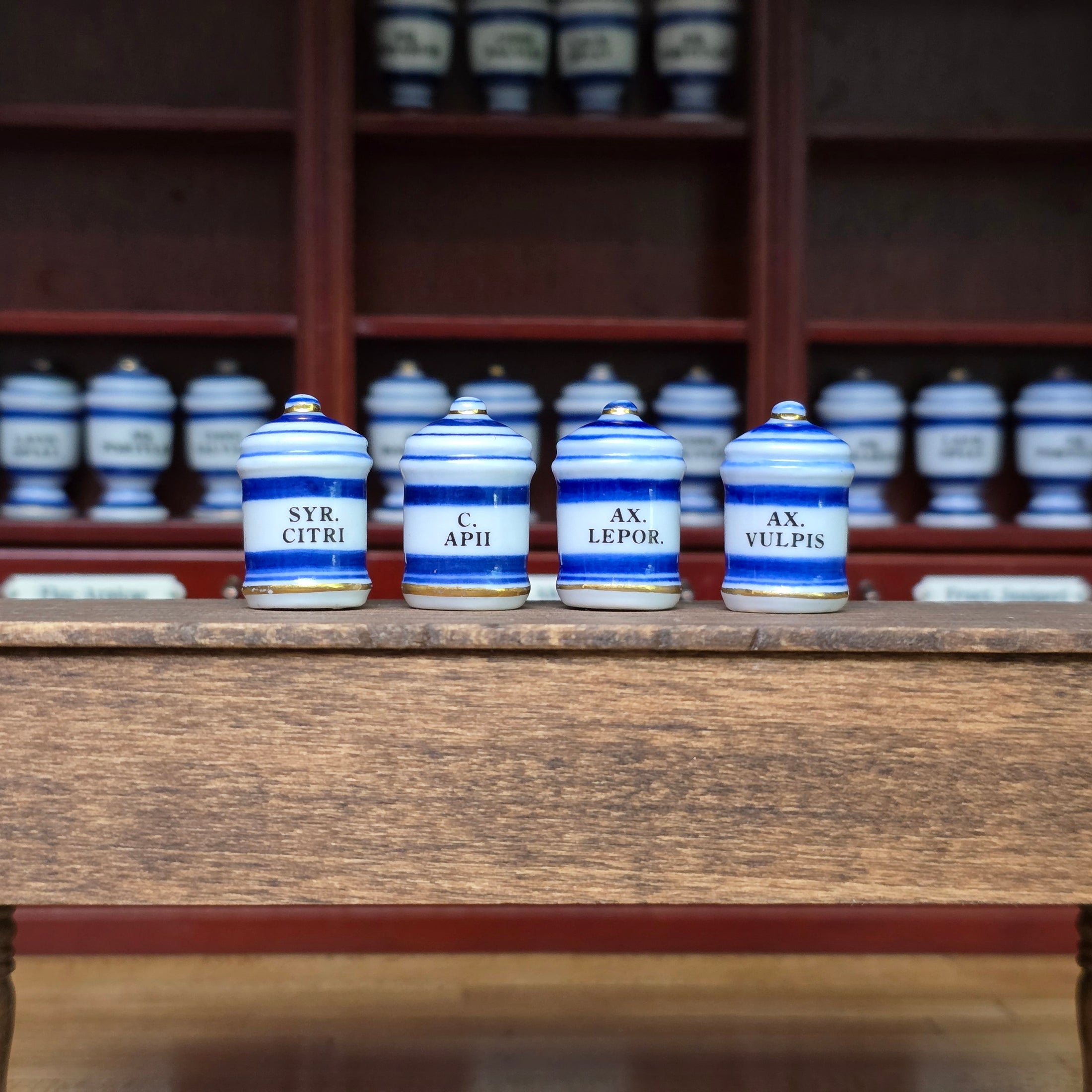 Mini Mundus Blue & White Porcelain Apothecary Jars Set of 4 Style C Group 1